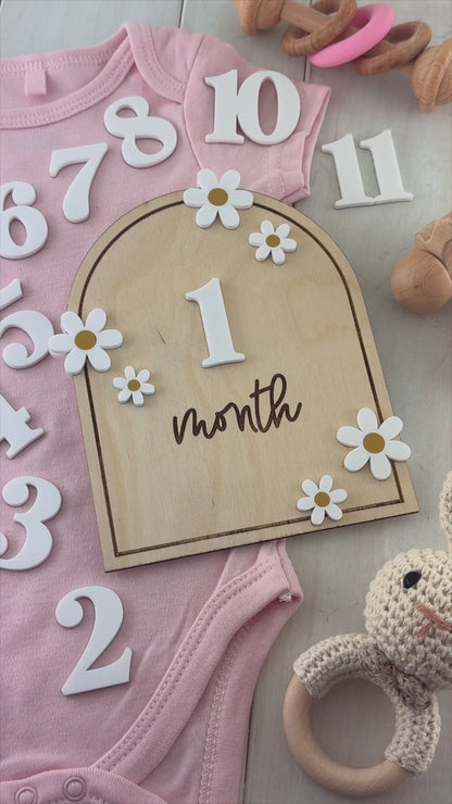 Baby Milestone Arch Sign with Daisies
